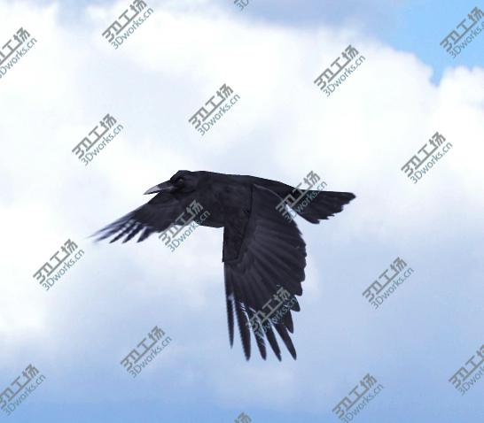 images/goods_img/2021040161/Animated Low Poly Raven/3.jpg